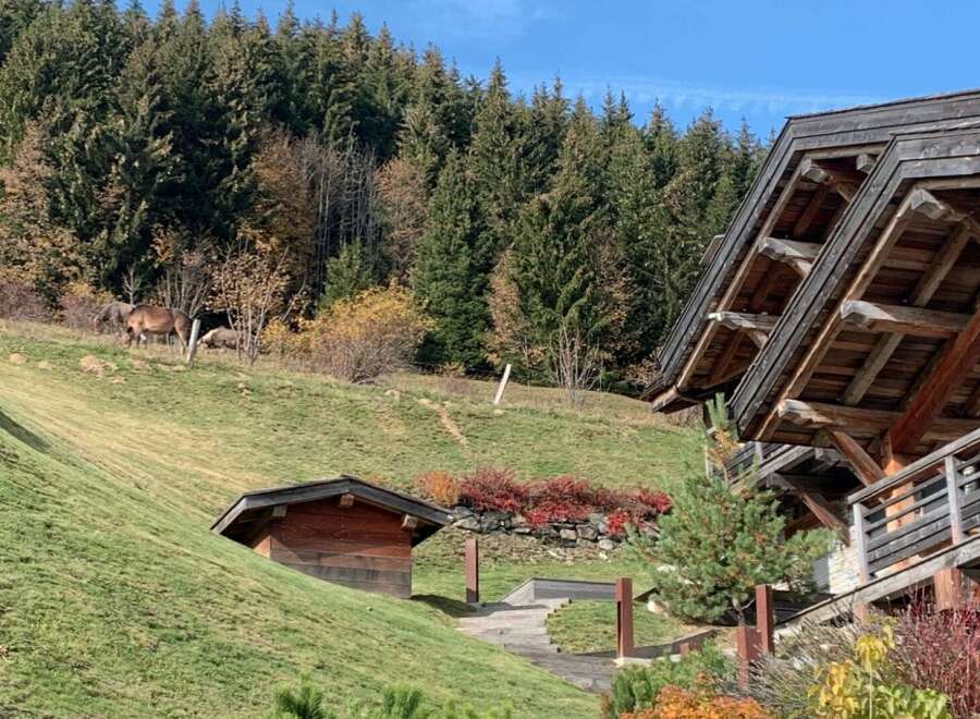Mountain chalet with stunning views and unique architectural details.