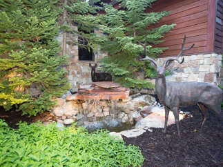 Discover a serene oasis with this stunning property, featuring a beautifully crafted water feature and lush greenery.
