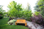Discover the tranquility of this beautifully landscaped property, featuring a charming wooden bench perfect for relaxing.