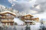Experience luxury living in this stunning ski chalet.