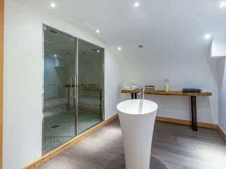 Luxurious spa-like bathroom with a modern free-standing sink and a glass-enclosed sauna.