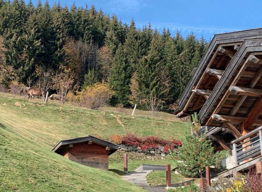 Mountain chalet with stunning views and a tranquil setting.
