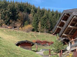 Mountain chalet with stunning views and a tranquil setting.