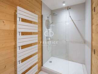 Discover a luxurious bathroom featuring a modern shower and stylish heated towel rack.