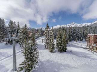 Experience the ultimate winter getaway in this stunning property nestled amidst a snowy landscape.