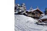Experience the ultimate winter escape in this stunning chalet nestled in a snowy landscape.