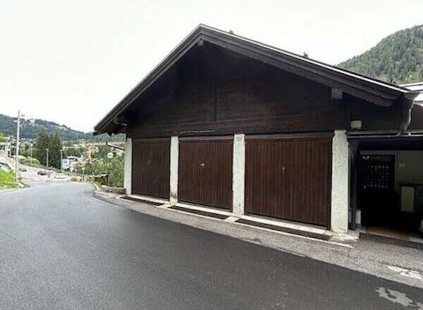 This property features a charming garage with three doors, perfect for storing vehicles or equipment.