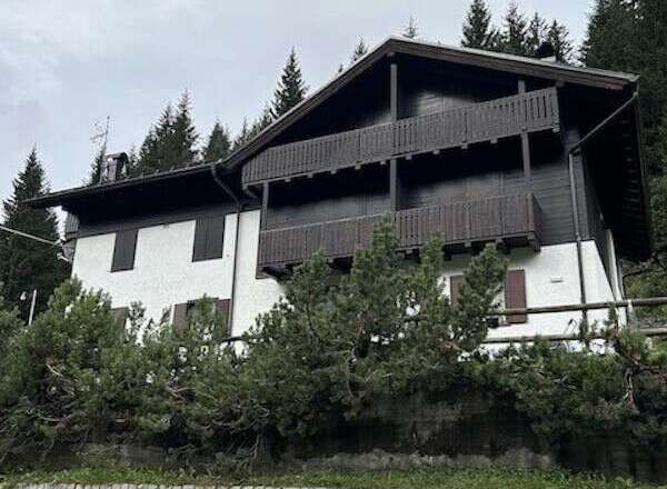 Discover a charming mountain home nestled amidst lush greenery.