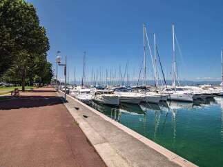 Discover the serene beauty of this waterfront property, boasting stunning views of a marina filled with yachts and sailboats.