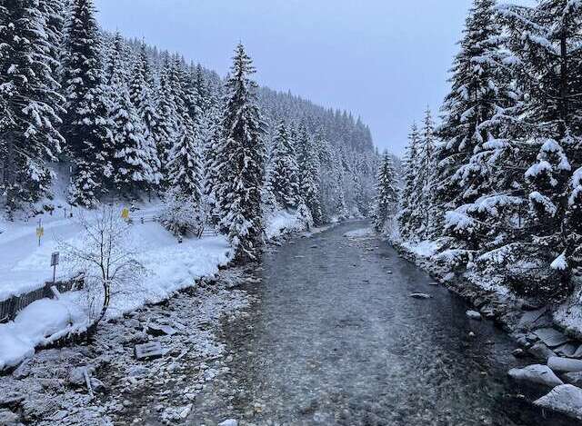 Experience the serene beauty of this winter wonderland.