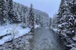 Experience the serene beauty of this winter wonderland.