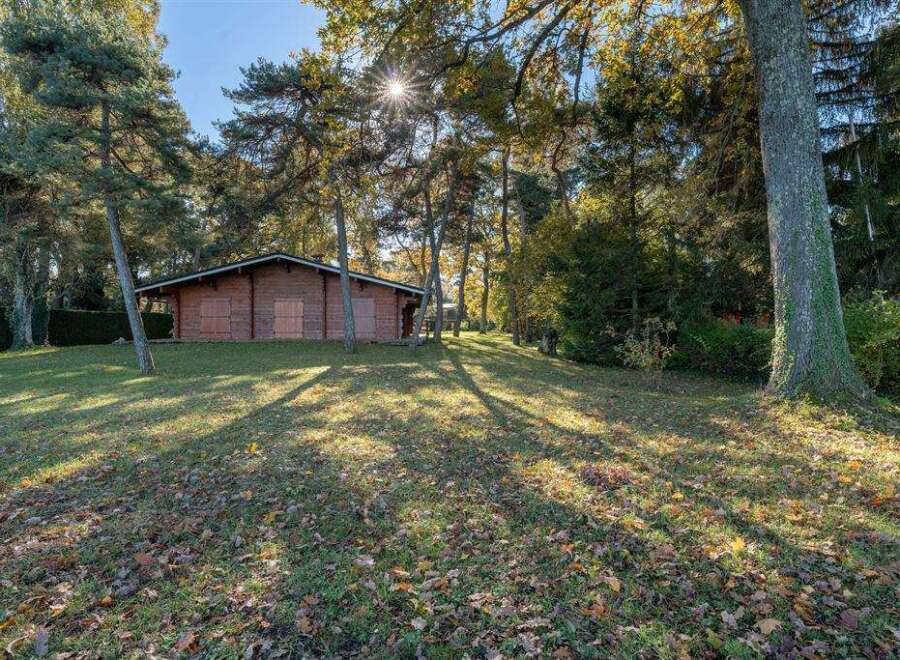 Nestled in a serene forest setting, this charming log cabin offers a tranquil escape.