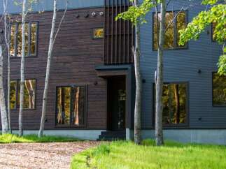This stunning modern home boasts a unique blend of dark wood and sleek metal siding, creating a striking contrast.