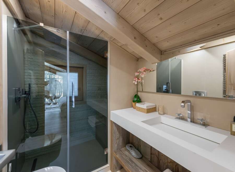 This luxurious bathroom boasts a spacious walk-in shower with glass enclosure and a sleek, modern sink.