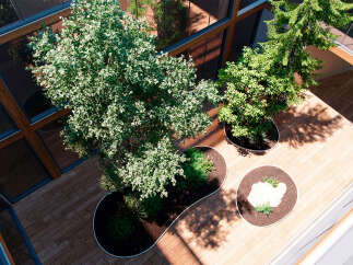 This stunning property boasts a unique, light-filled atrium with lush greenery and mature trees, creating a tranquil oasis in the heart of the building.