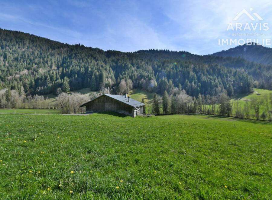 Mountain chalet nestled in a verdant alpine meadow, offering breathtaking views of the surrounding forest.