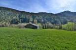 Mountain chalet nestled in a verdant alpine meadow, offering breathtaking views of the surrounding forest.
