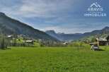 Discover this idyllic mountain property nestled in a picturesque valley.