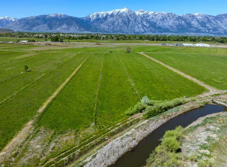 This expansive property boasts lush green fields, ideal for agriculture or livestock grazing, with a tranquil irrigation canal meandering through the landscape.