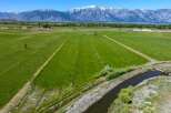 This expansive property boasts lush green fields, ideal for agriculture or livestock grazing, with a tranquil irrigation canal meandering through the landscape.