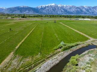 This expansive property boasts lush green fields, ideal for agriculture or livestock grazing, with a tranquil irrigation canal meandering through the landscape.