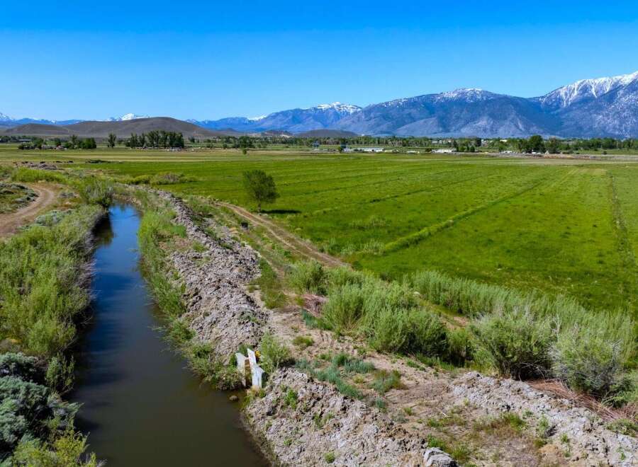 This property boasts expansive agricultural land with irrigation canals, providing efficient water distribution for optimal crop growth.