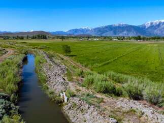 This property boasts expansive agricultural land with irrigation canals, providing efficient water distribution for optimal crop growth.