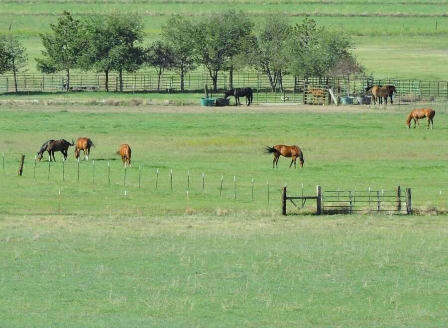 This serene property boasts a sprawling pasture, neatly sectioned by fences, providing ample space for grazing horses.