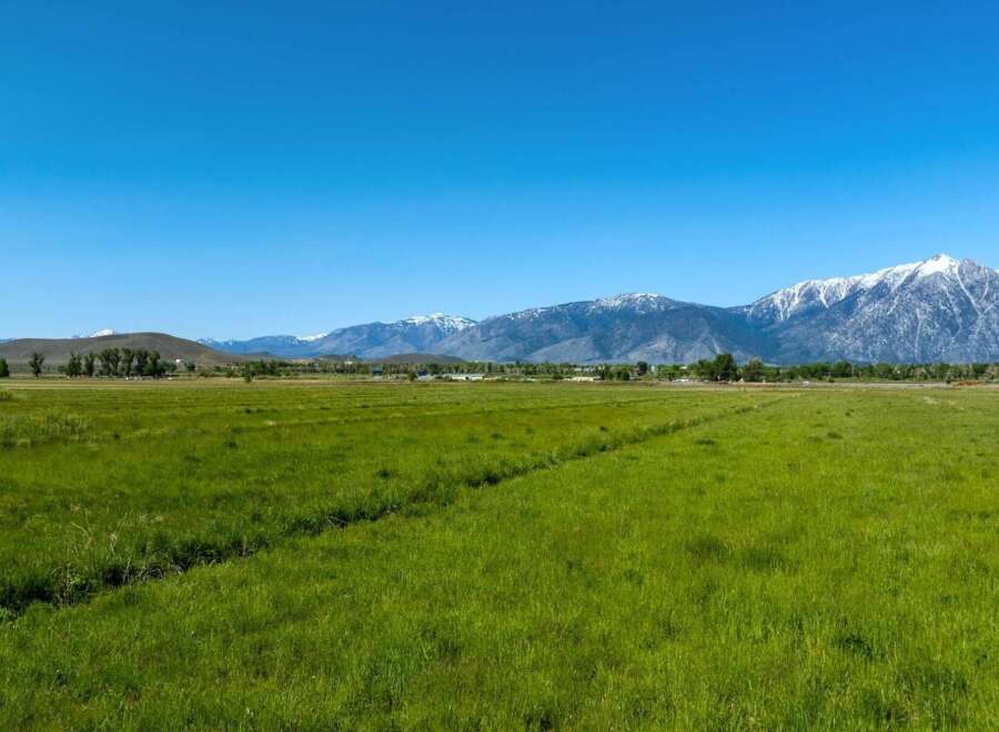 This expansive property boasts lush green pastures, ideal for grazing livestock or enjoying outdoor recreation.