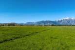 This expansive property boasts lush green pastures, ideal for grazing livestock or enjoying outdoor recreation.