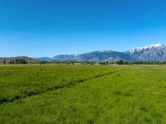 This expansive property boasts lush green pastures, ideal for grazing livestock or enjoying outdoor recreation.
