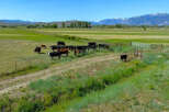 This serene property boasts a picturesque landscape featuring lush green pastures, a rustic dirt road, and a sturdy metal fence.