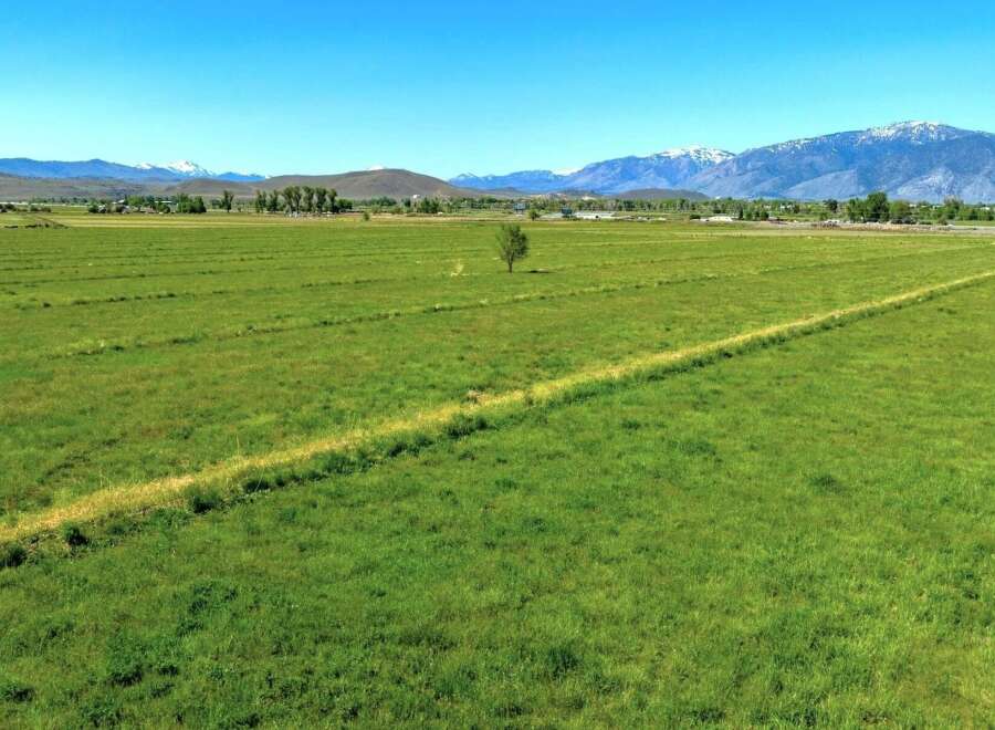 This expansive property boasts lush green pastures, ideal for grazing livestock or hay production.