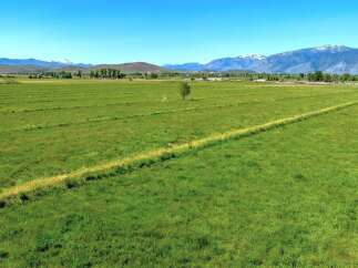 This expansive property boasts lush green pastures, ideal for grazing livestock or hay production.