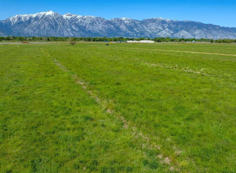 This expansive property boasts lush green pastures, ideal for agricultural use or livestock grazing.