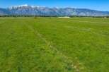 This expansive property boasts lush green pastures, ideal for agricultural use or livestock grazing.