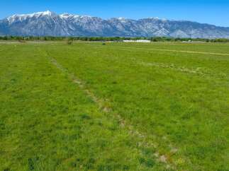 This expansive property boasts lush green pastures, ideal for agricultural use or livestock grazing.