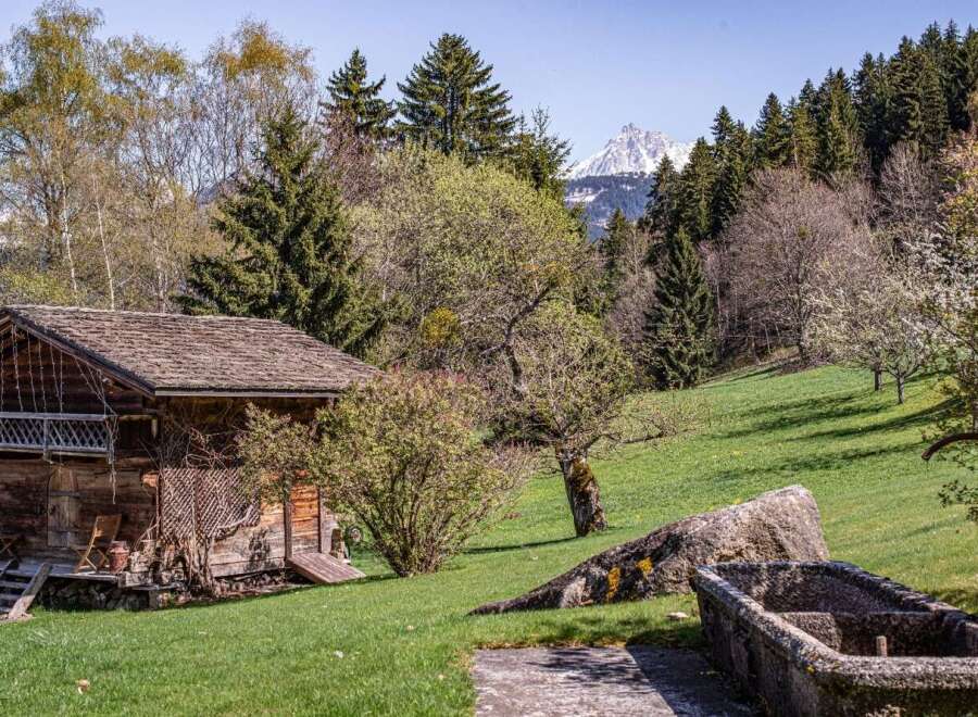 Nestled in a picturesque mountain setting, this charming wooden cabin offers tranquility and breathtaking views.