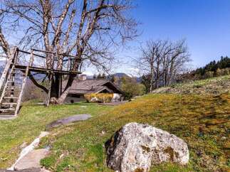 Mountain chalet with treehouse and stunning views.