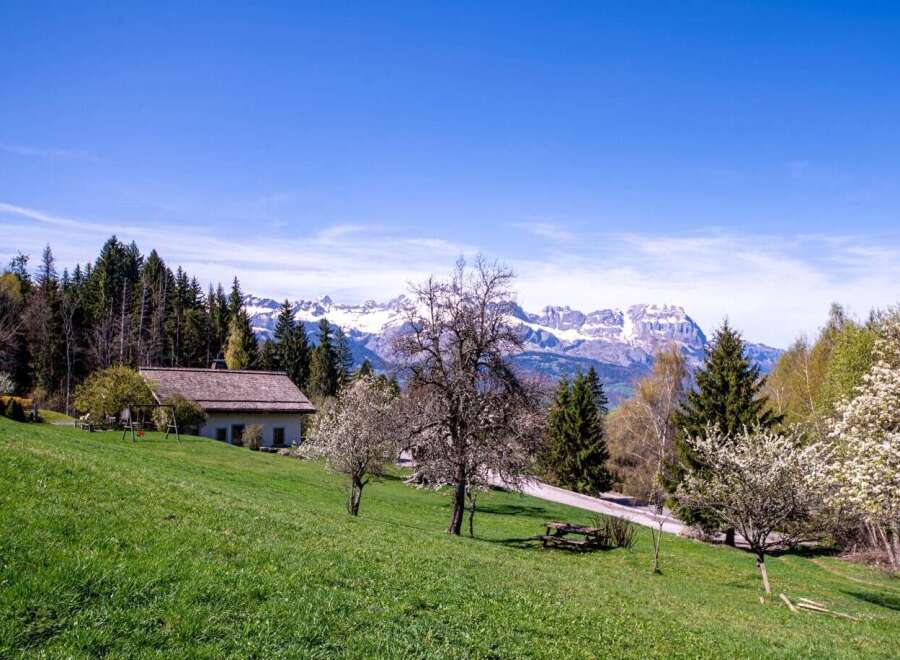 Mountain view home with large yard and fruit trees.