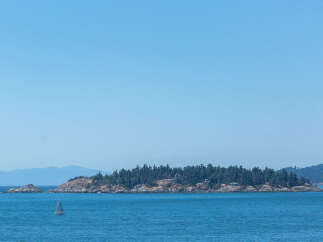 This secluded island property boasts lush greenery and stunning ocean views.