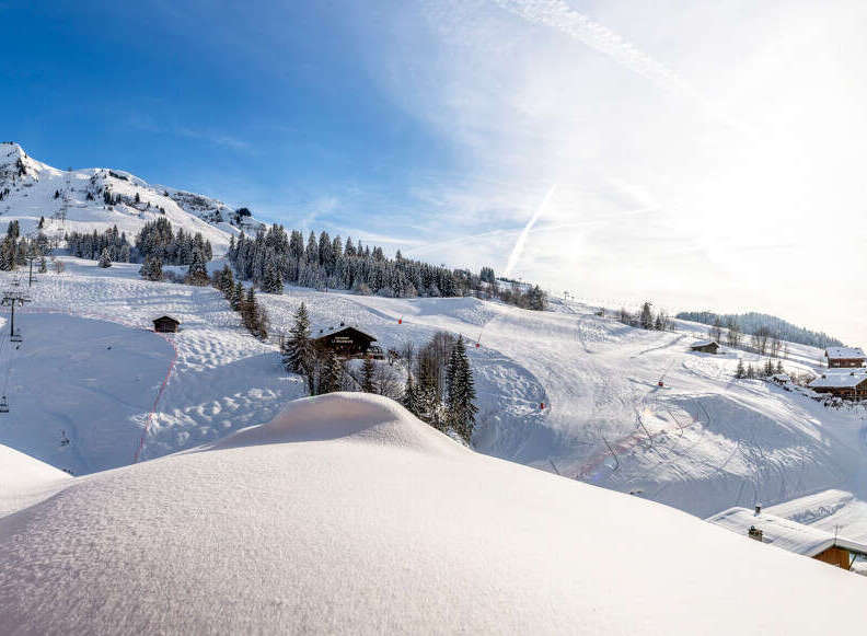 Experience the ultimate winter getaway in this stunning ski resort property.