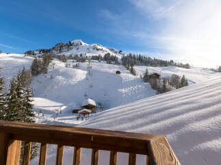 Enjoy breathtaking mountain views from this stunning property.