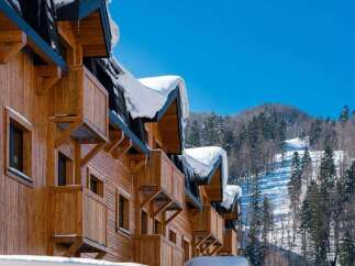 Discover luxurious wooden chalets nestled in a breathtaking snowy mountain setting.