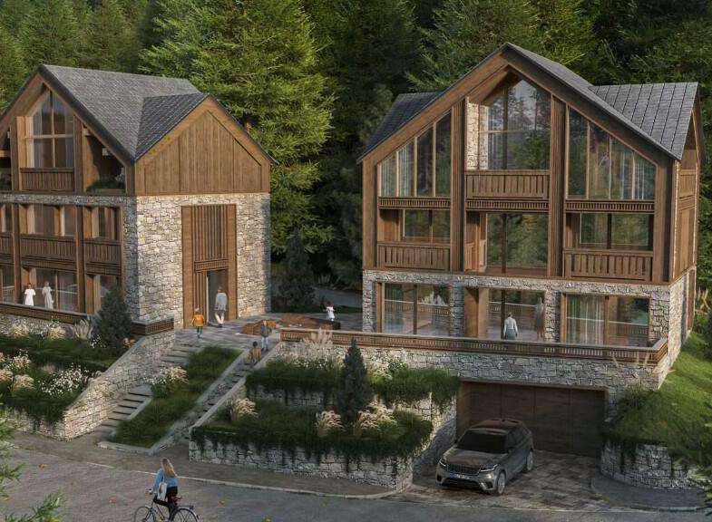 Discover this stunning mountain retreat featuring two exquisite homes nestled amidst a lush forest.