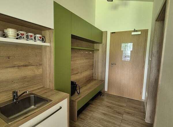 Step into this inviting space, featuring a modern kitchenette with sleek cabinetry and a stainless steel sink.