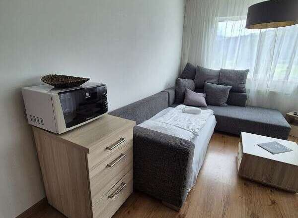 Discover a cozy living space featuring a modern microwave and a stylish wooden cabinet.