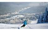 Experience breathtaking panoramic views of snow-capped mountains and pristine forests from this stunning ski resort.