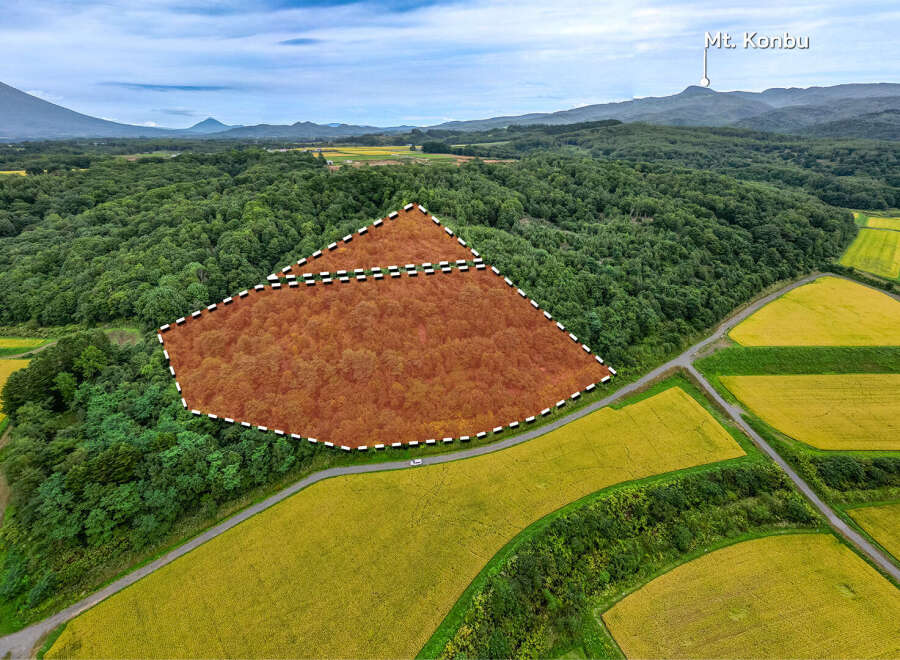This exceptional property boasts a unique triangular shape, nestled amidst picturesque rice paddies and lush forests.