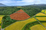 This exceptional property boasts a unique triangular shape, nestled amidst picturesque rice paddies and lush forests.